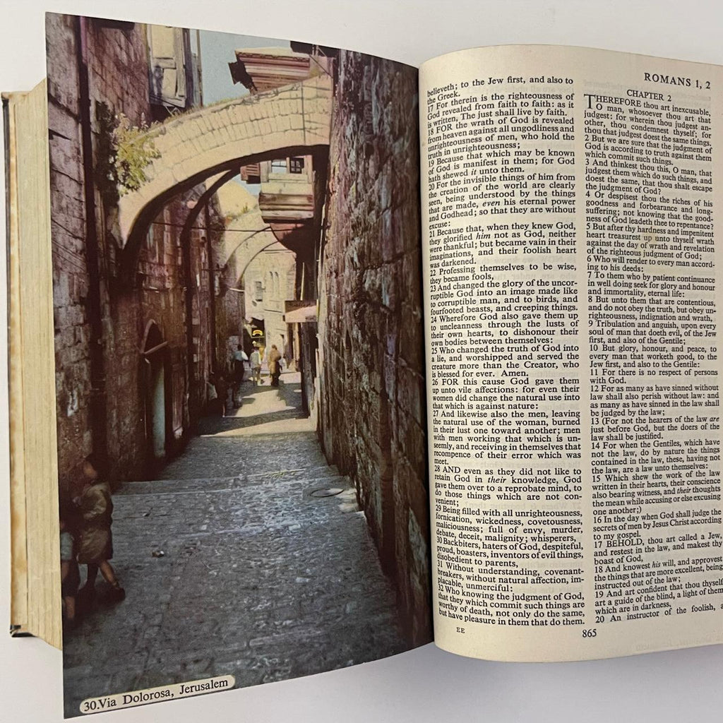 Cambridge Pictorial Bible - Published by the Syndics of Cambridge University Press