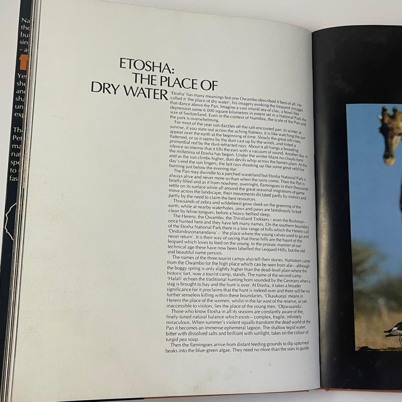 Africa’s Harsh Paradise: Namibia - Anthony Bannister & Peter Johnson