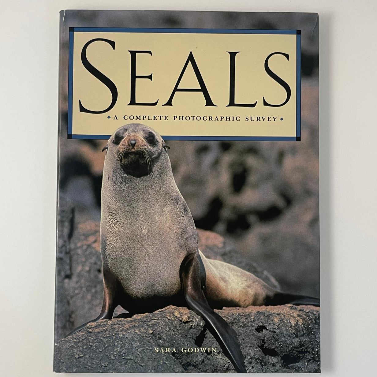 Seals: A Complete Photographic Survey