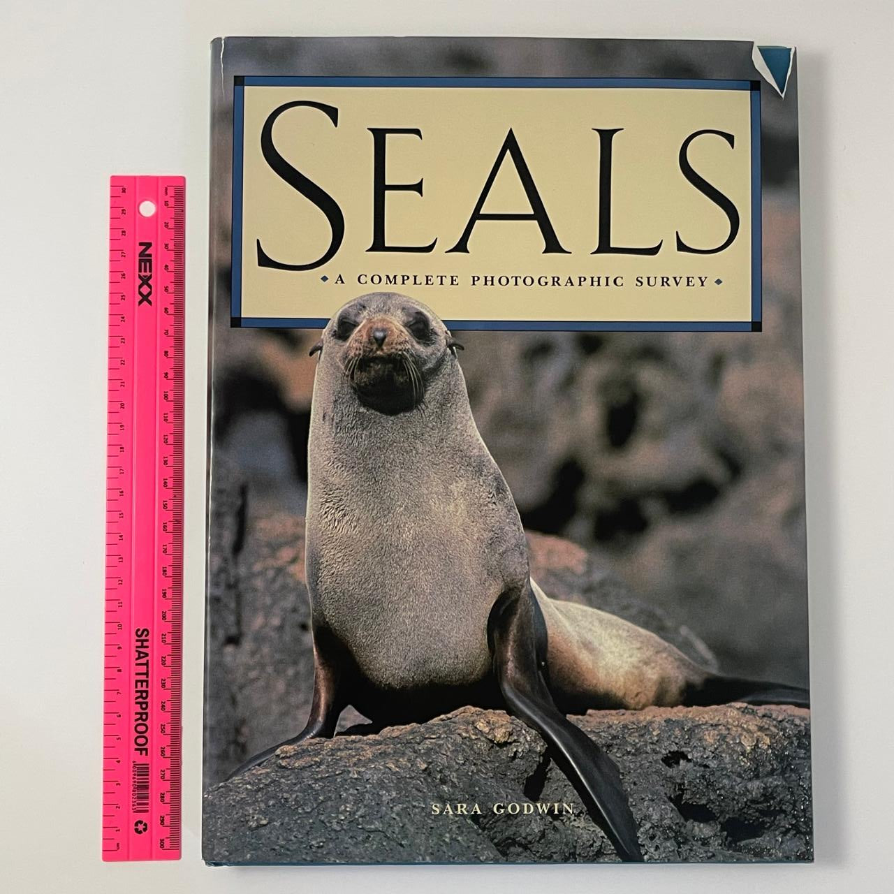Seals: A Complete Photographic Survey
