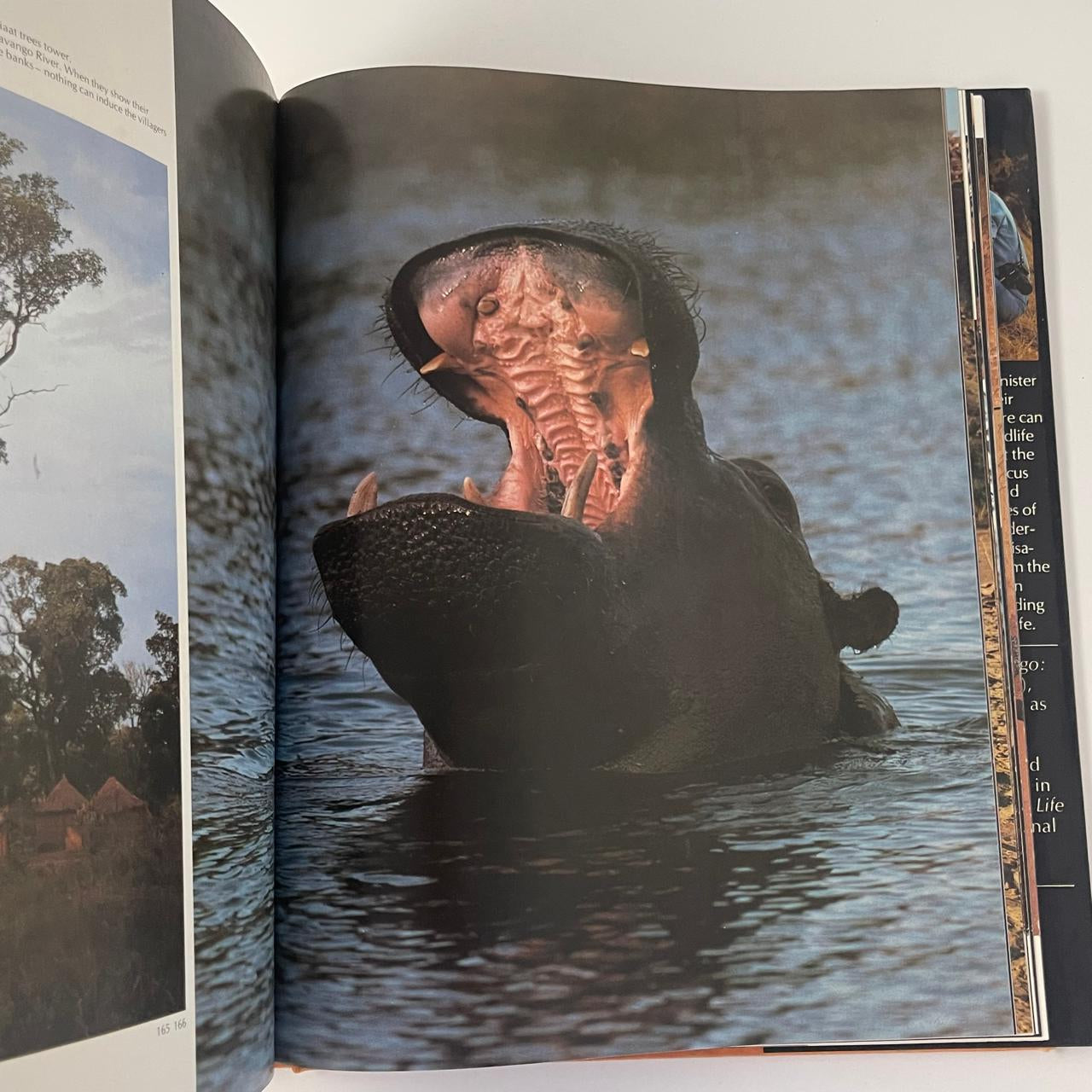 Africa’s Harsh Paradise: Namibia - Anthony Bannister & Peter Johnson