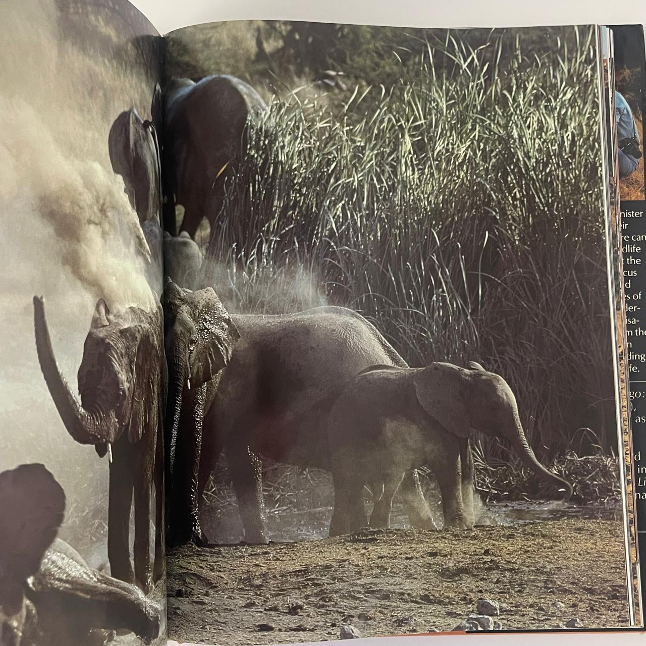Africa’s Harsh Paradise: Namibia - Anthony Bannister & Peter Johnson