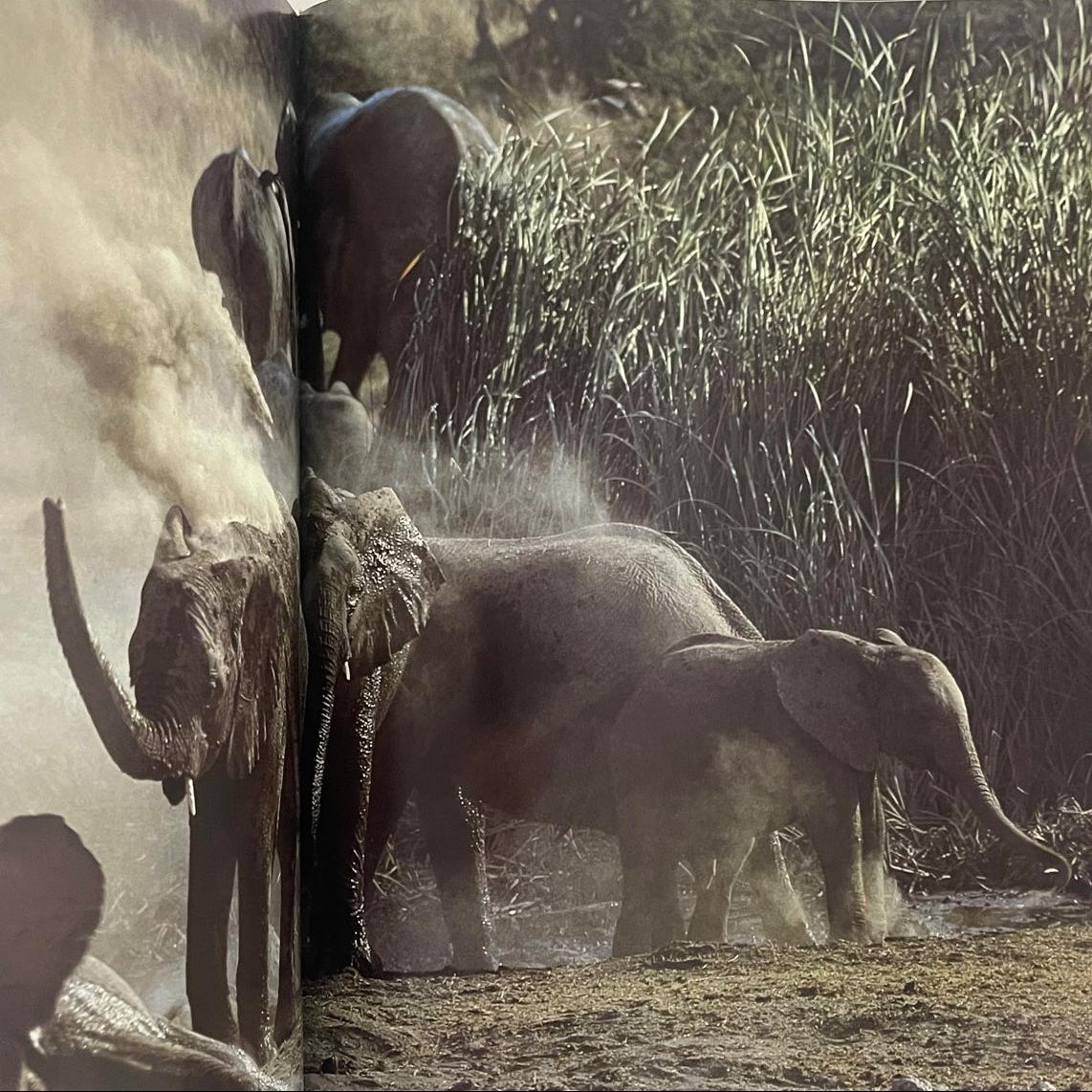 Africa’s Harsh Paradise: Namibia - Anthony Bannister & Peter Johnson