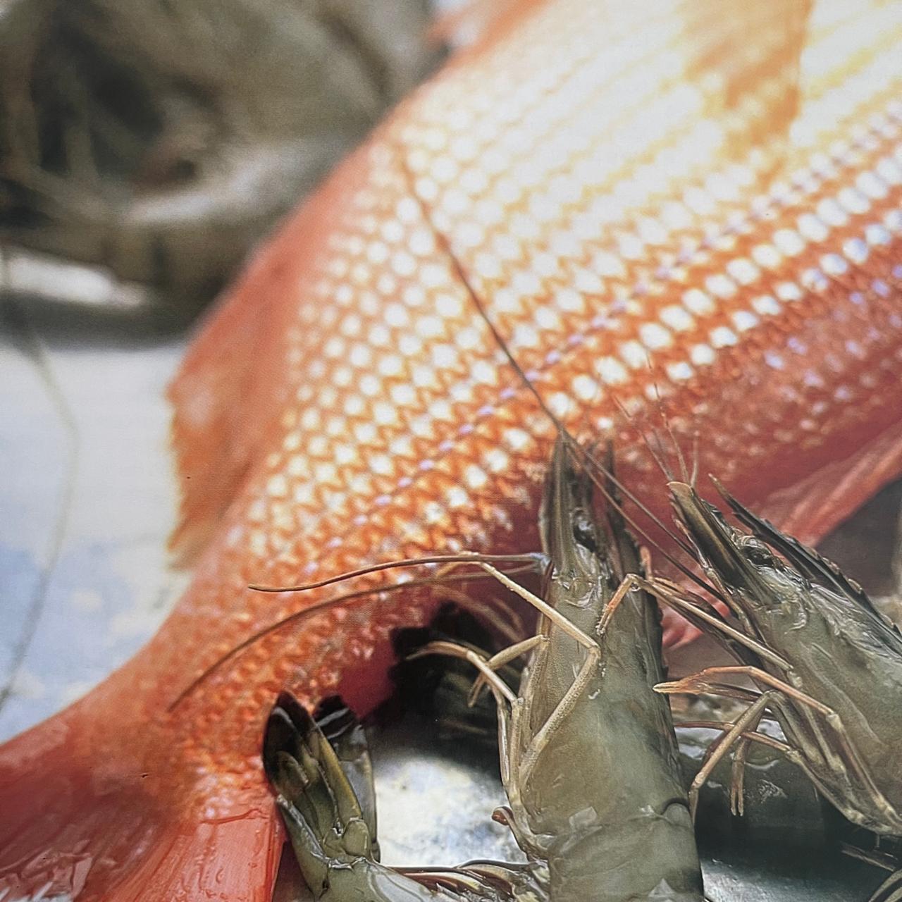 Healthy Dairy-Free Eating - Tanya Haffner (RD, R Nutr) with Mini C