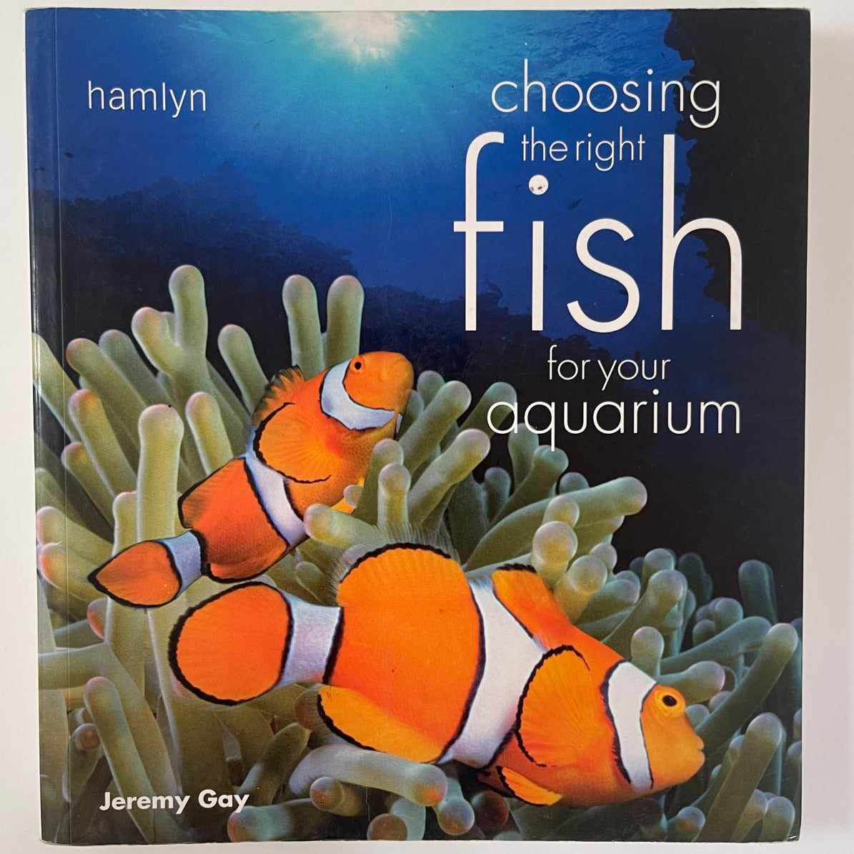 Choosing the Right Fish for Your Aquarium - Jeremy Gay