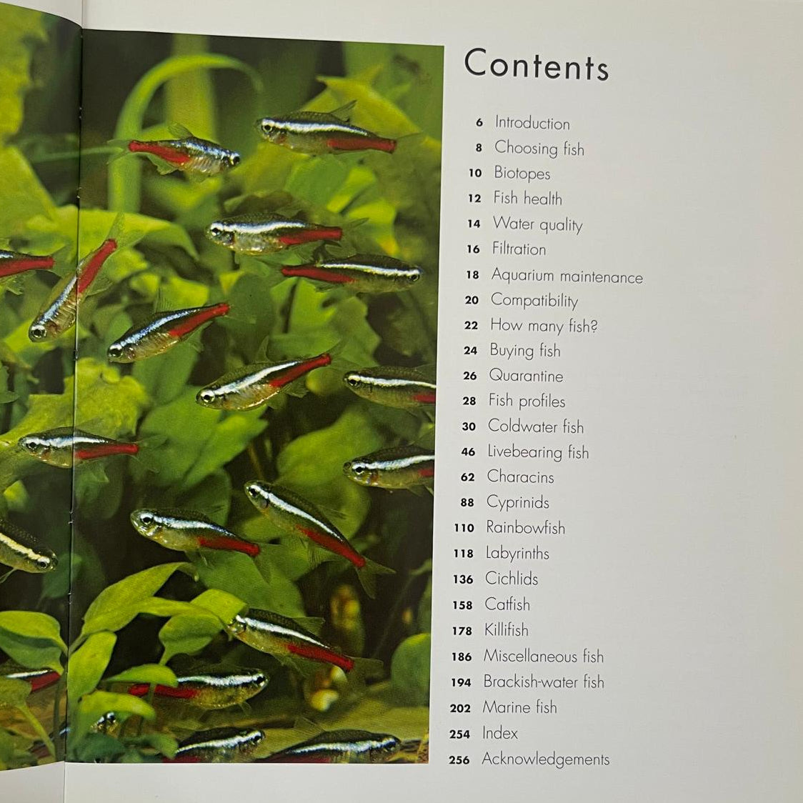 Choosing the Right Fish for Your Aquarium - Jeremy Gay