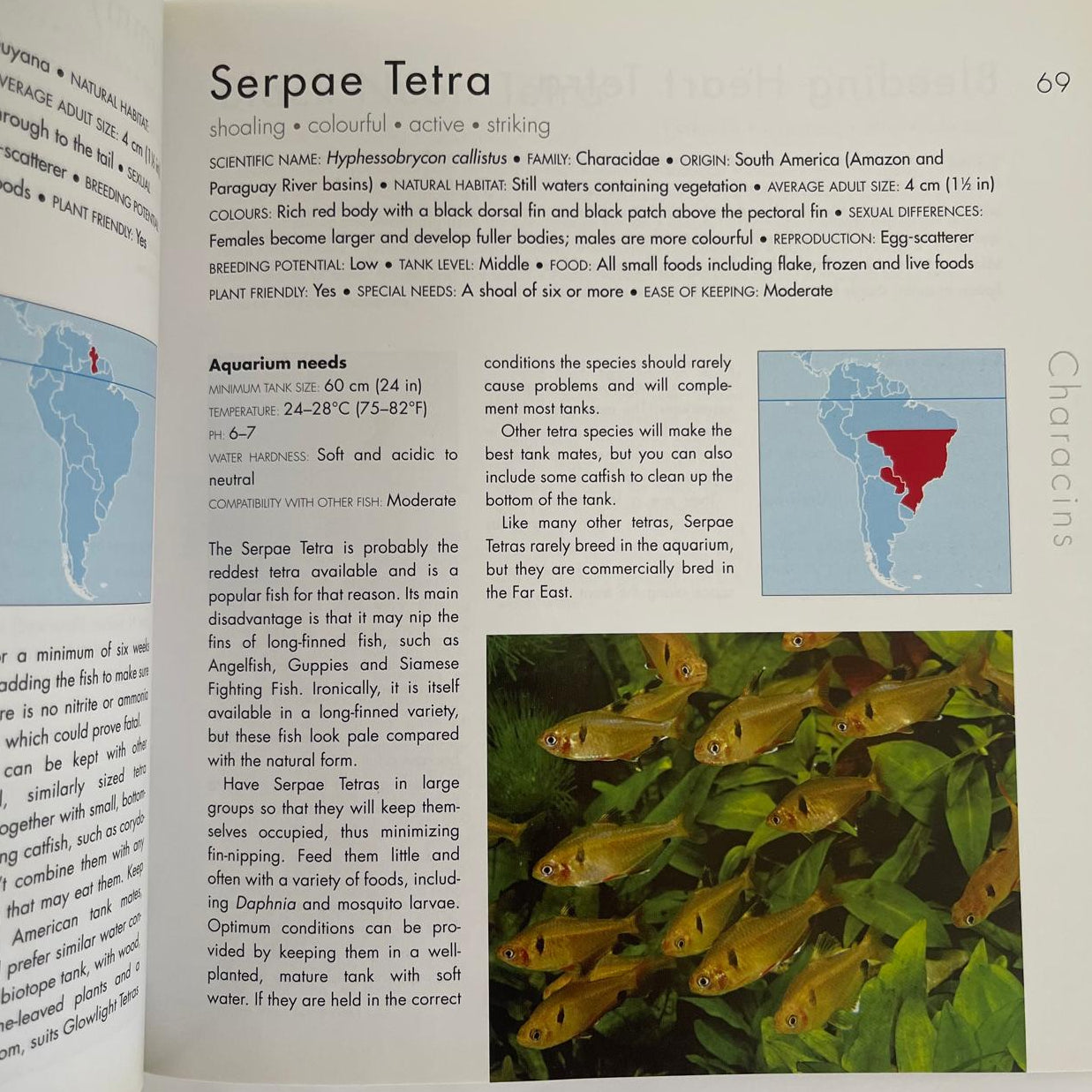 Choosing the Right Fish for Your Aquarium - Jeremy Gay