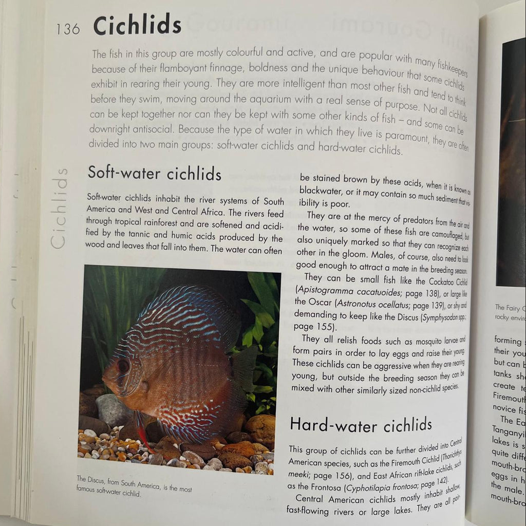 Choosing the Right Fish for Your Aquarium - Jeremy Gay