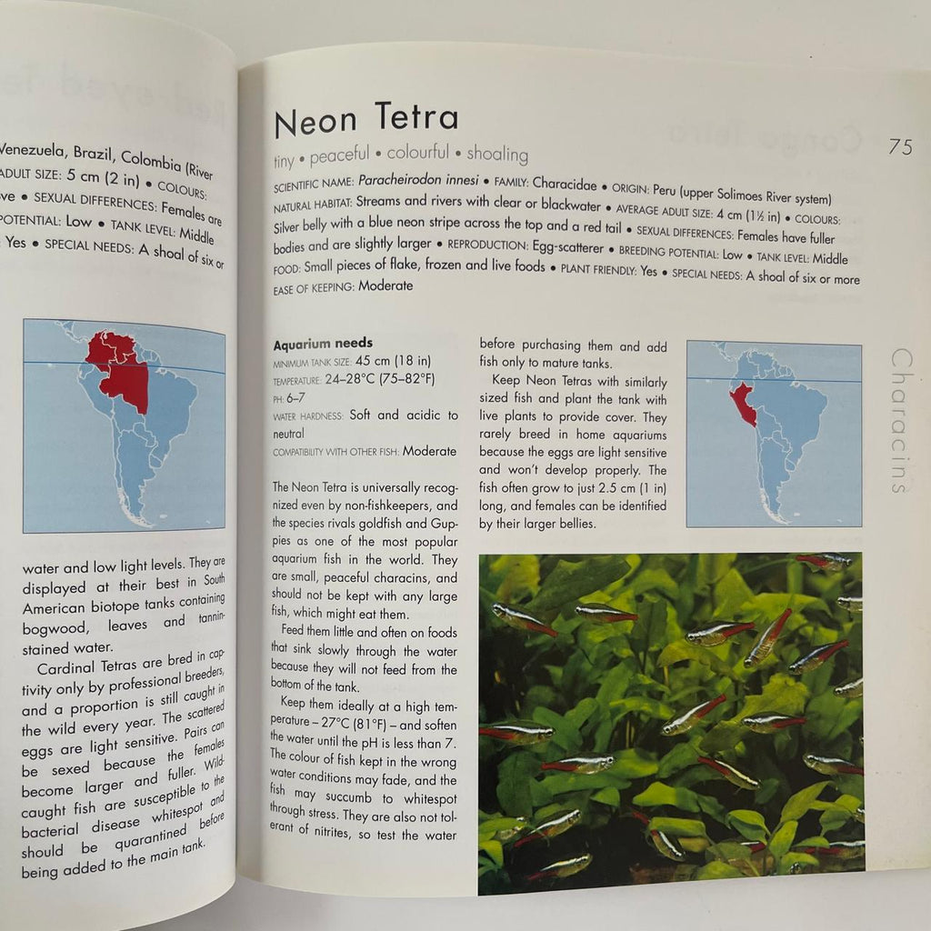 Choosing the Right Fish for Your Aquarium - Jeremy Gay