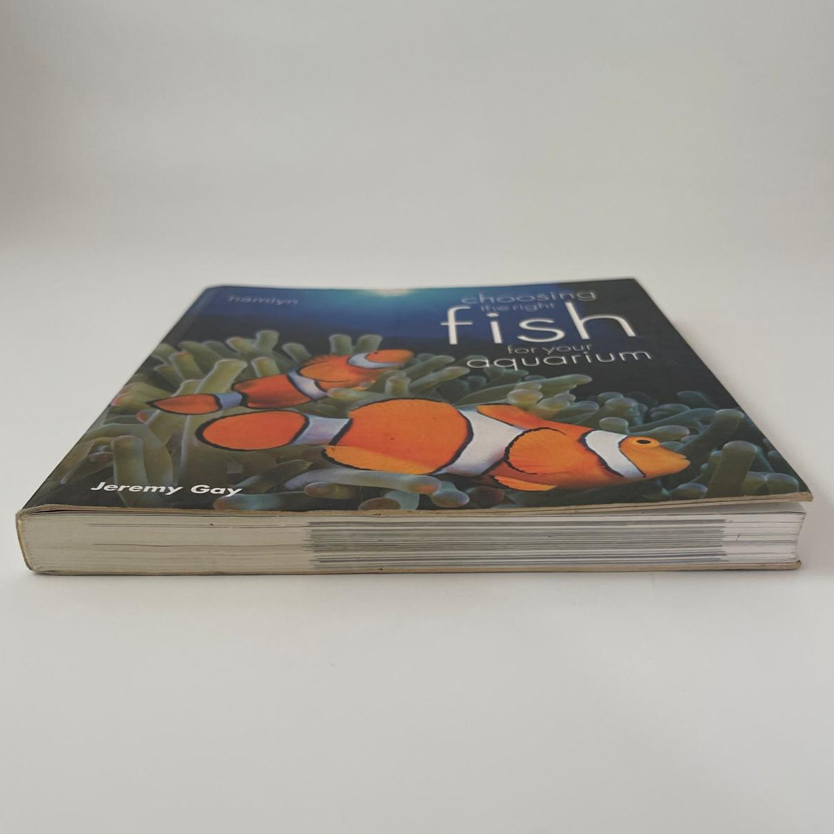 Choosing the Right Fish for Your Aquarium - Jeremy Gay