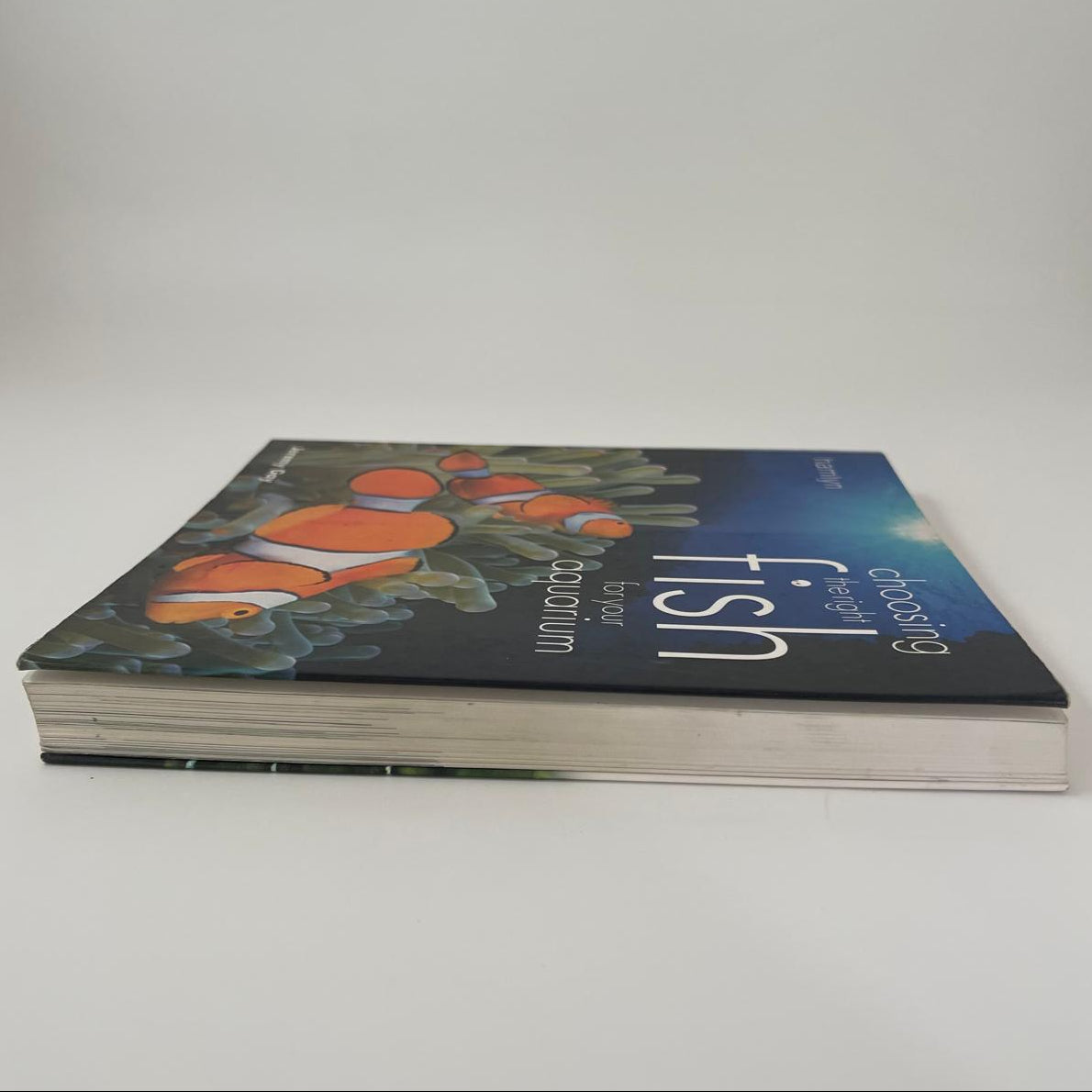 Choosing the Right Fish for Your Aquarium - Jeremy Gay