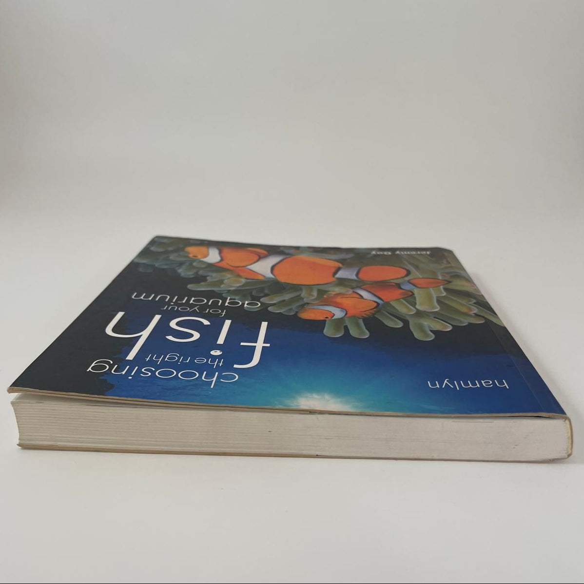 Choosing the Right Fish for Your Aquarium - Jeremy Gay