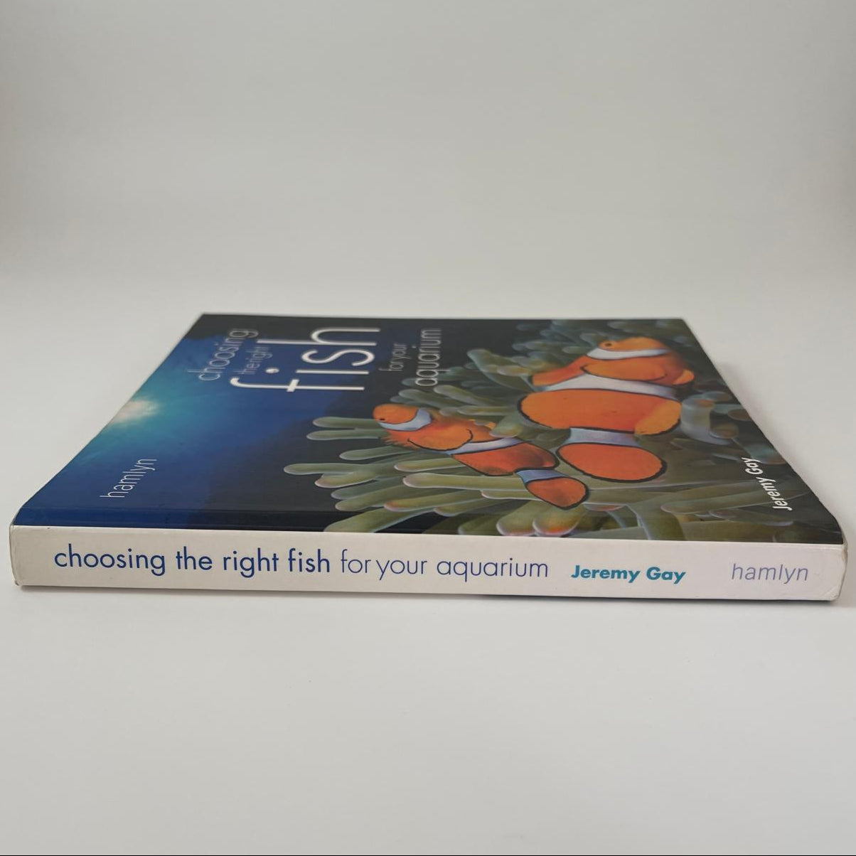 Choosing the Right Fish for Your Aquarium - Jeremy Gay