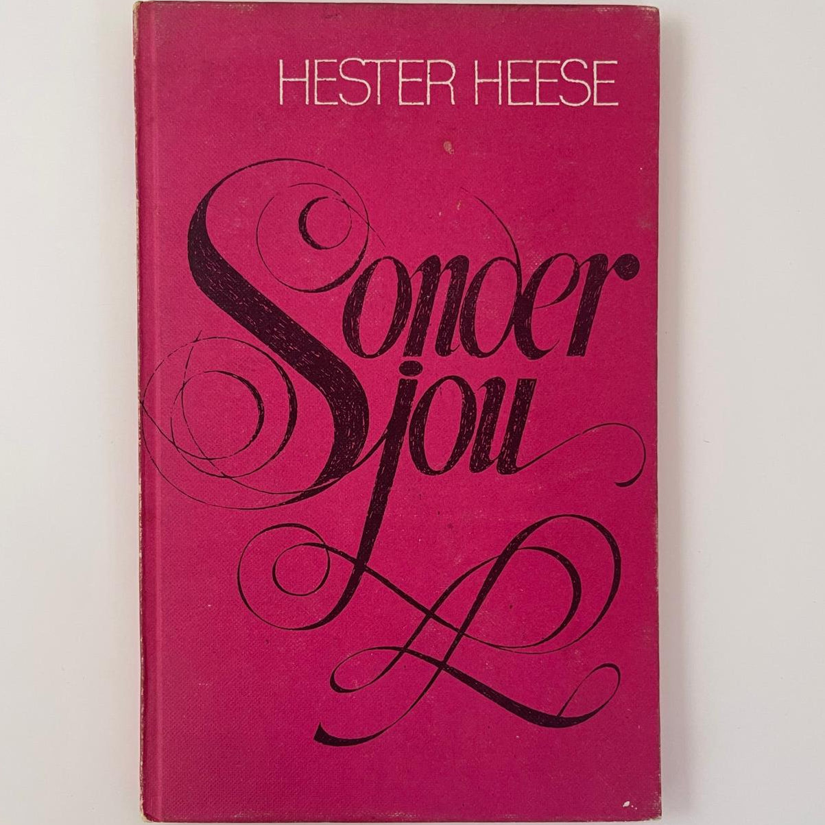 Sonder Jou - Hester Heese