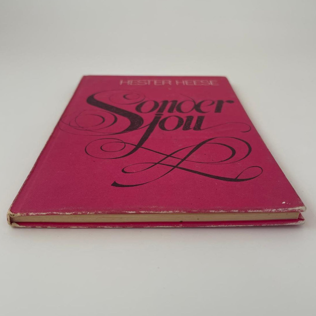 Sonder Jou - Hester Heese