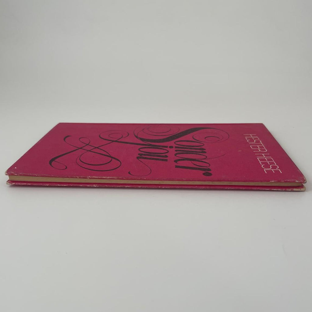 Sonder Jou - Hester Heese