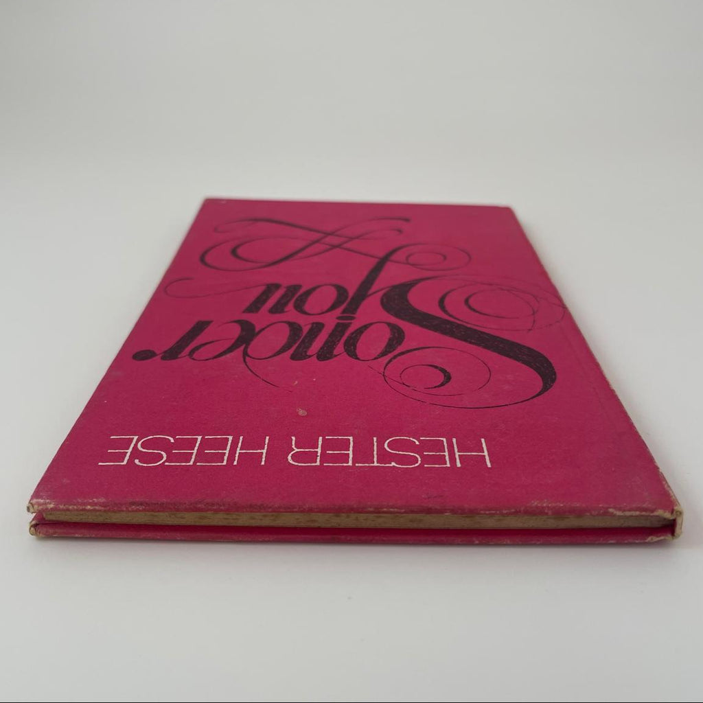 Sonder Jou - Hester Heese