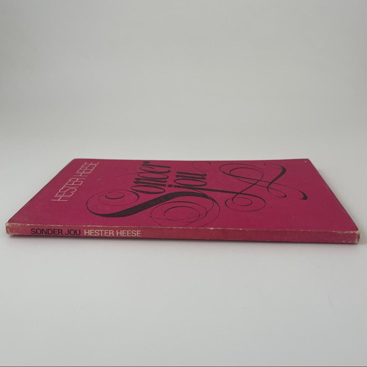 Sonder Jou - Hester Heese