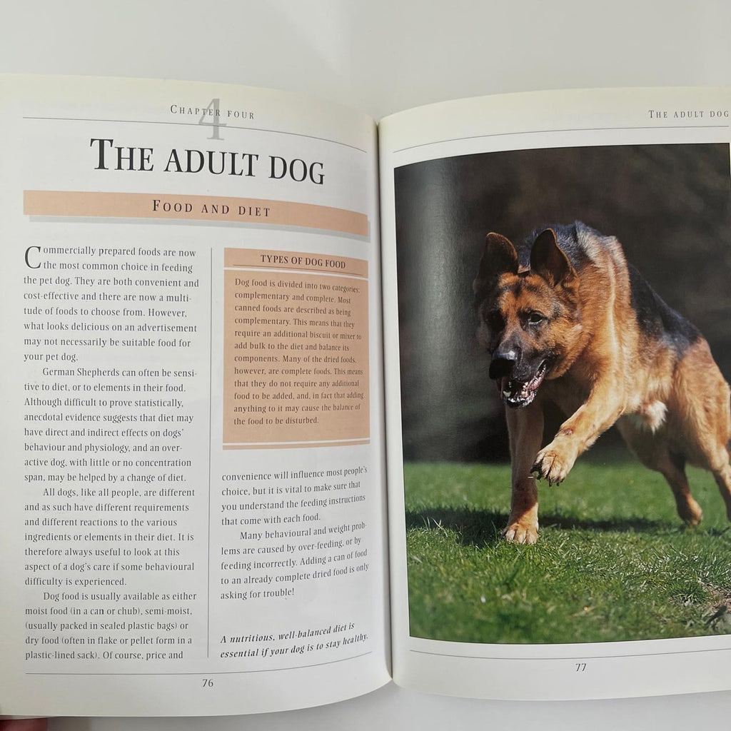 German Shepherd - Peter Neville