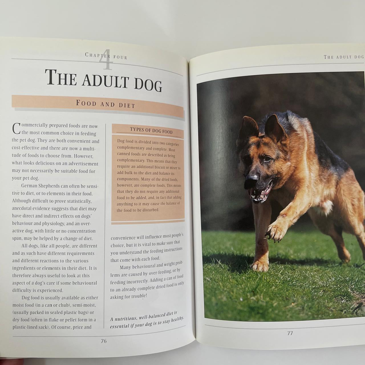 German Shepherd - Peter Neville