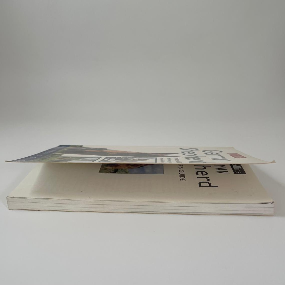 German Shepherd - Peter Neville