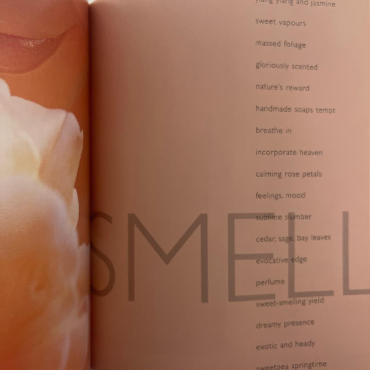 The Art of Giving - Liezel Norval‑Kruger and Tina-Marie Malherbe