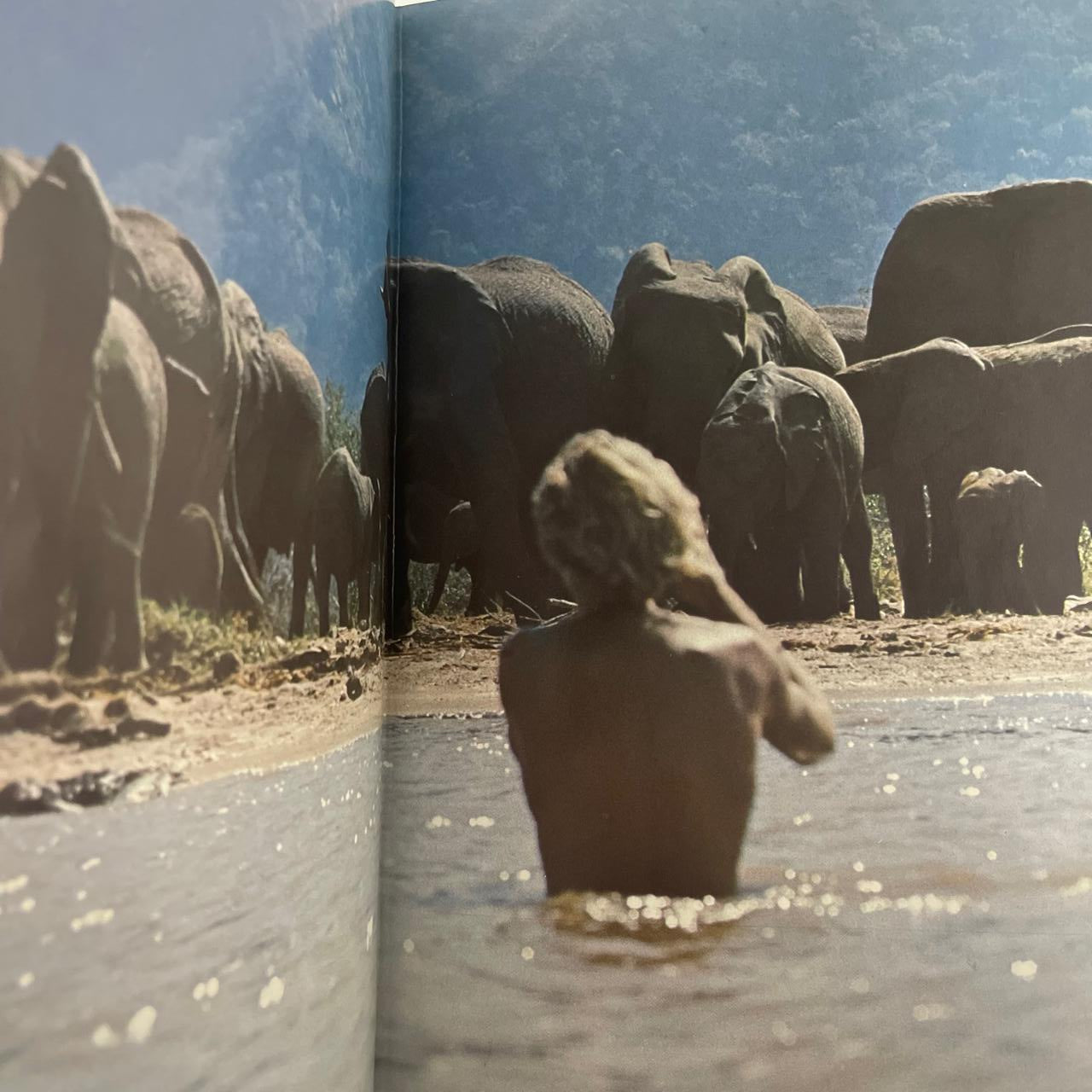 Among the Elephants - Iain Douglas‑Hamilton & Oria Douglas‑Hamilton