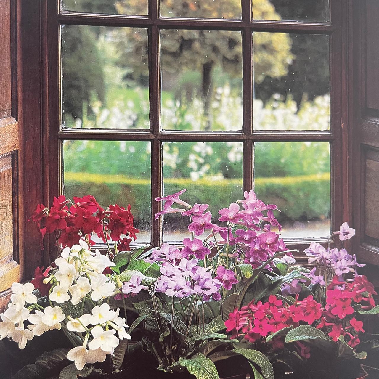 The Indoor Gardener - Noel Kingsbury