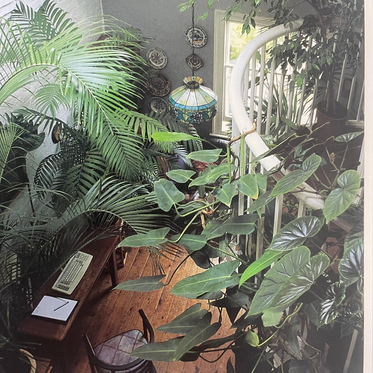 The Indoor Gardener - Noel Kingsbury