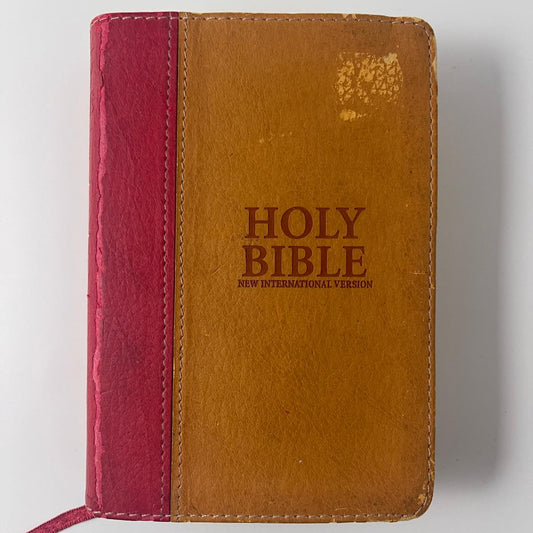 Holy Bible – New International Version