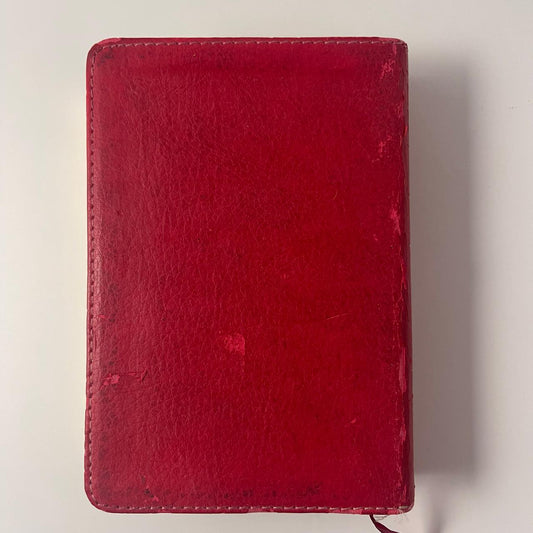 Holy Bible – New International Version