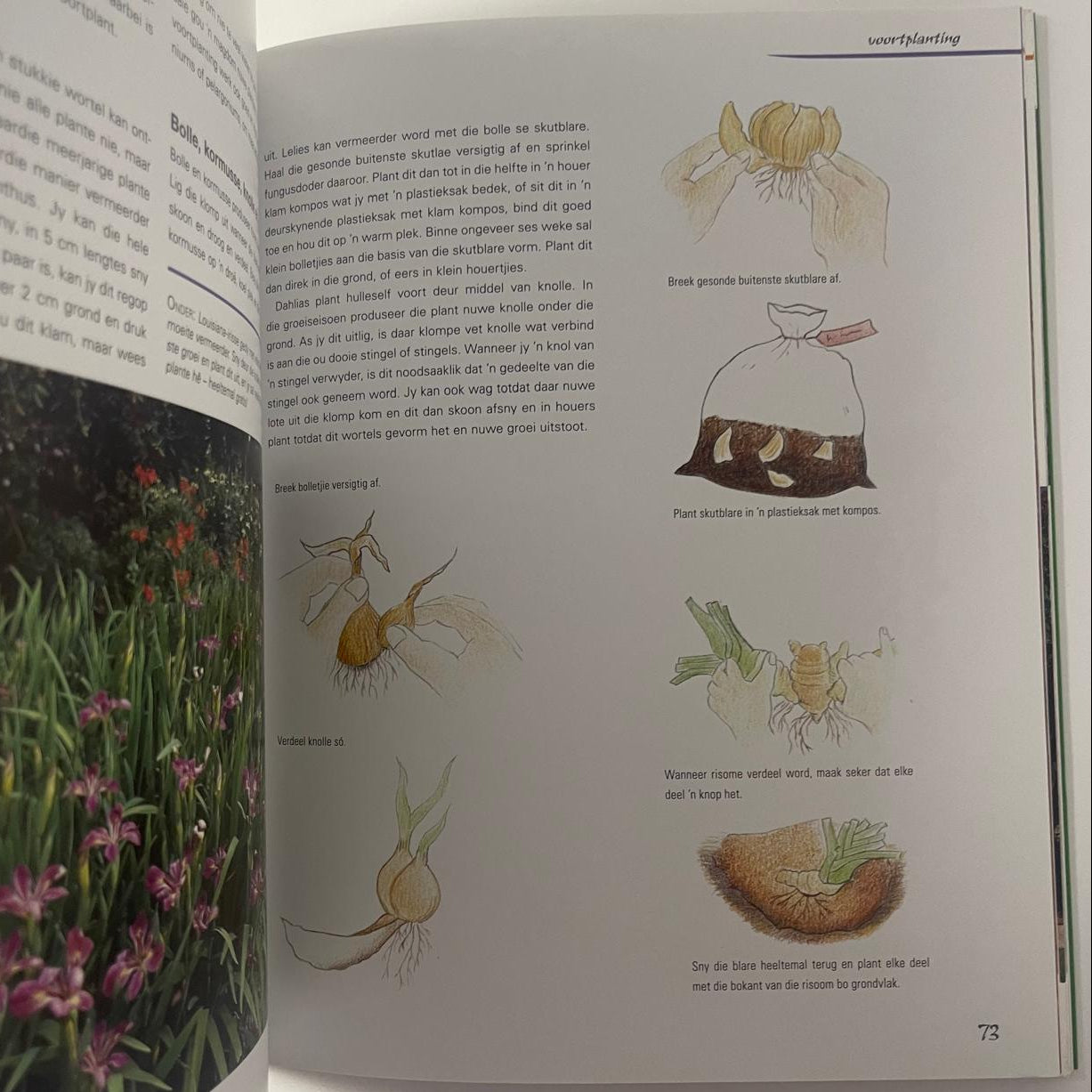 Bekostigbare Tuinmaak — Nancy Gardiner