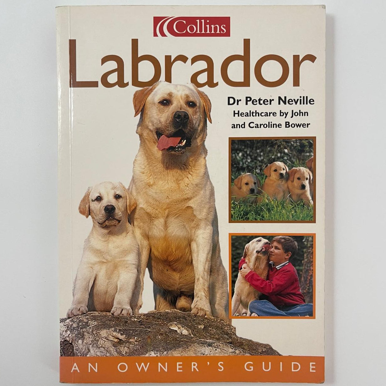 Labrador - Dr. Peter Neville
