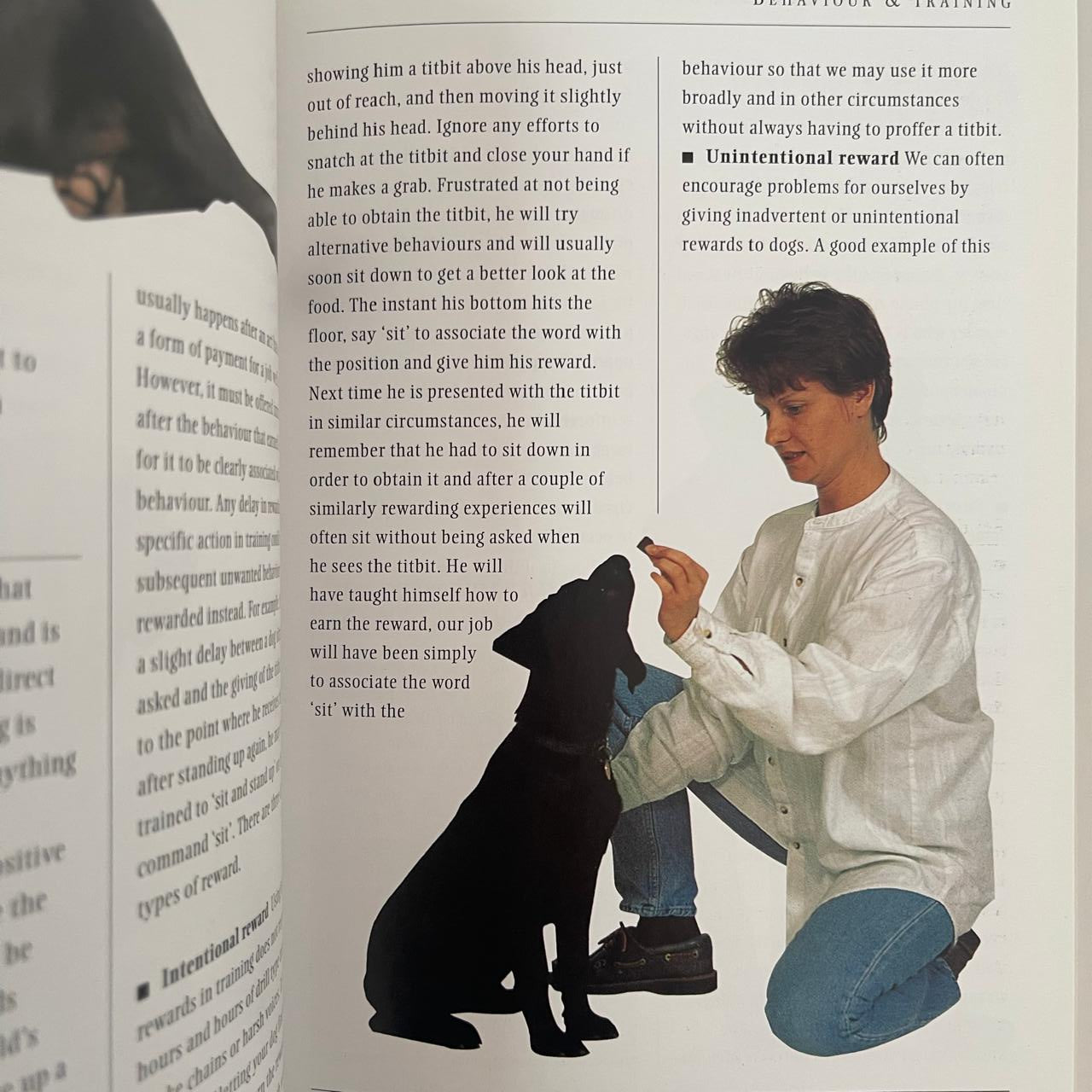 Labrador - Dr. Peter Neville
