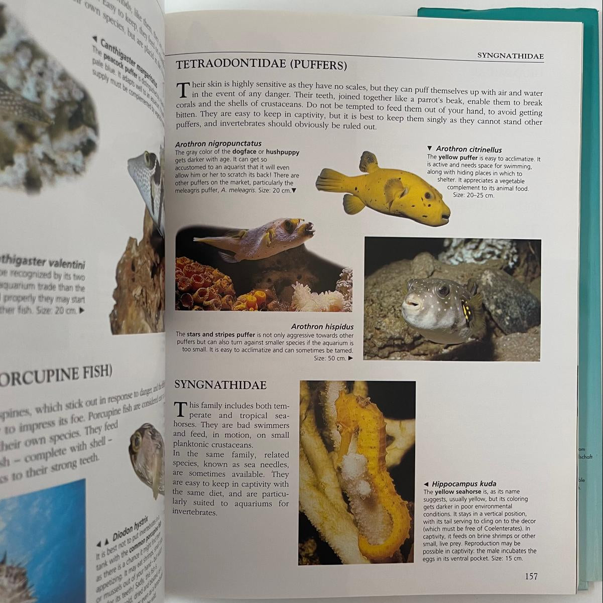 The Complete Aquarium Guide