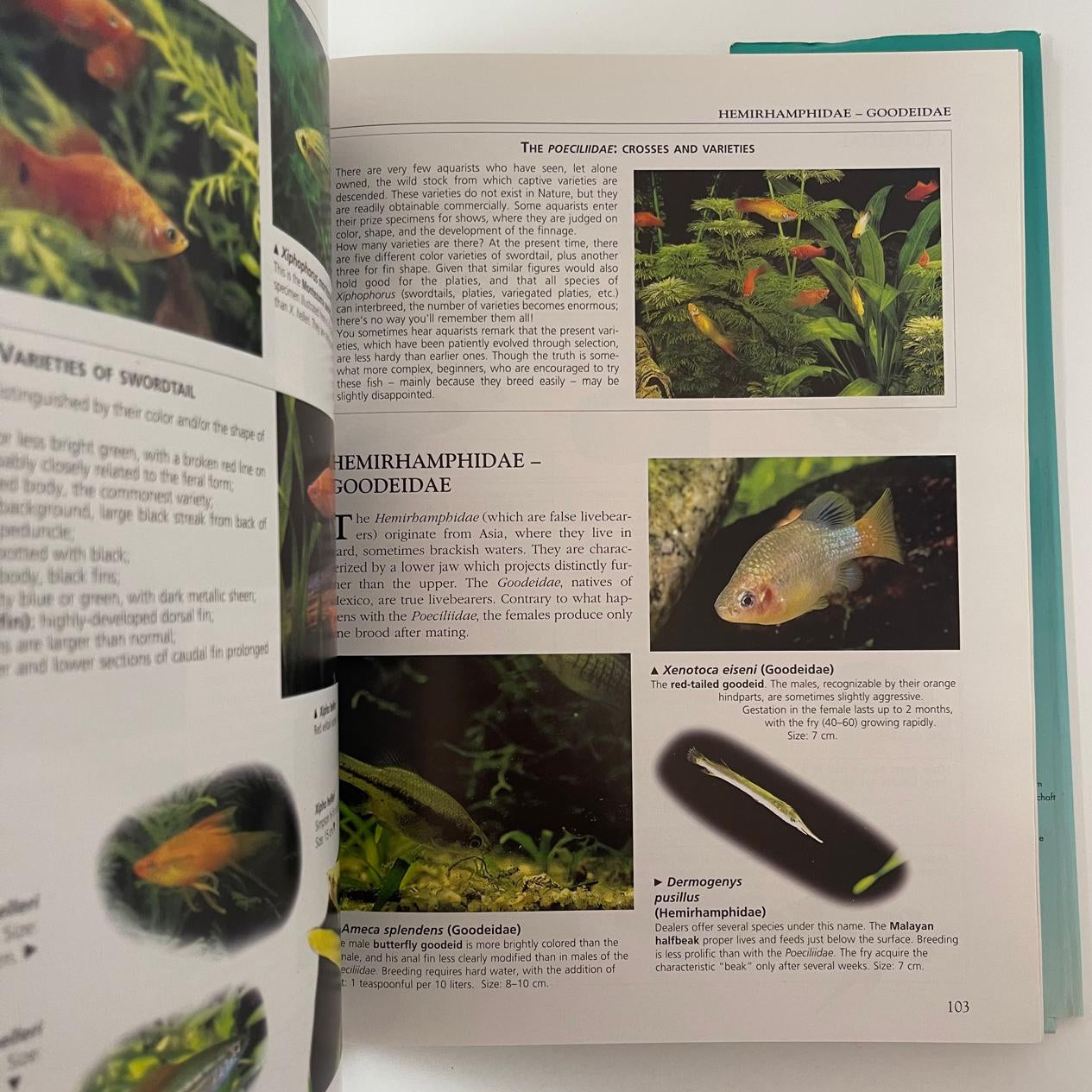 The Complete Aquarium Guide