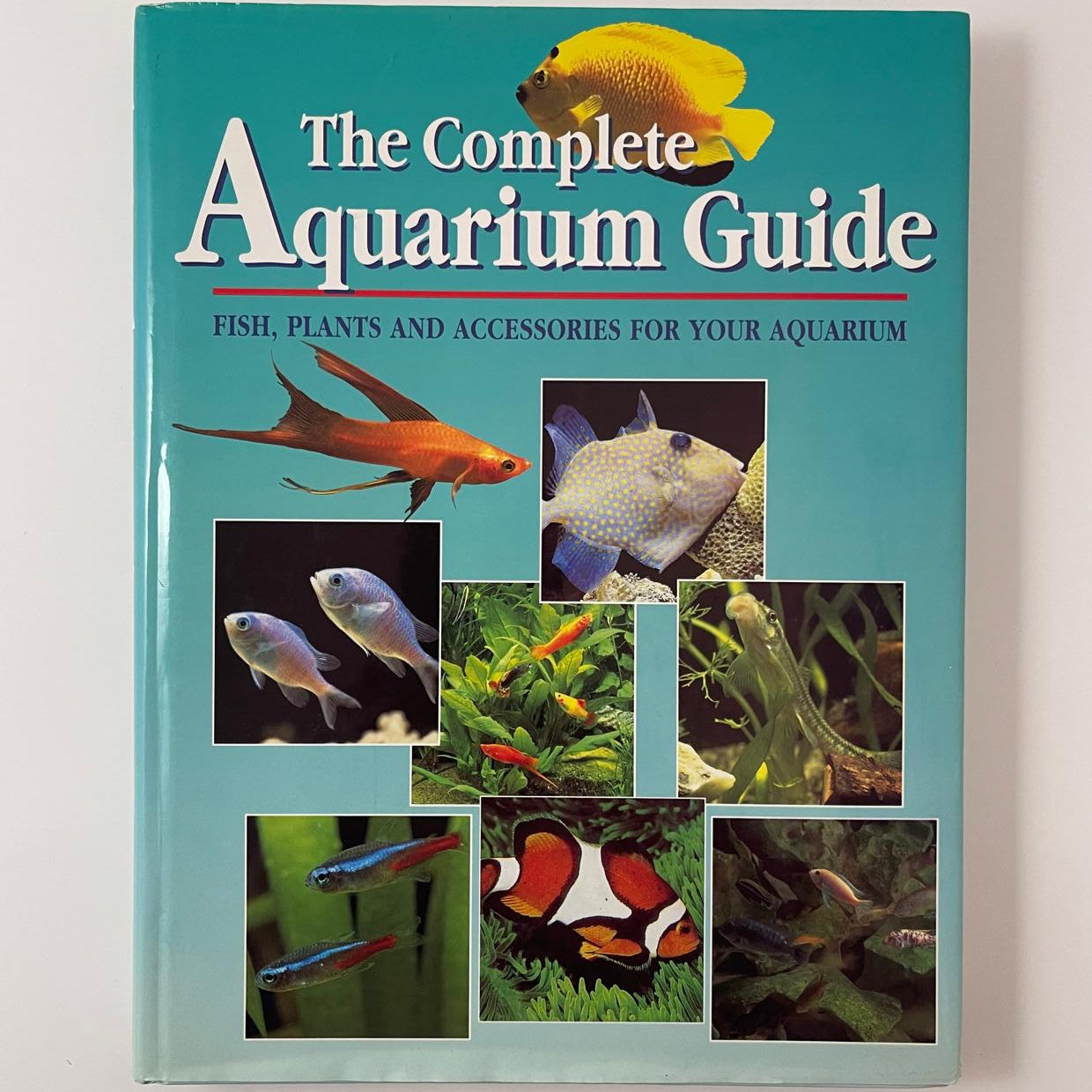 The Complete Aquarium Guide