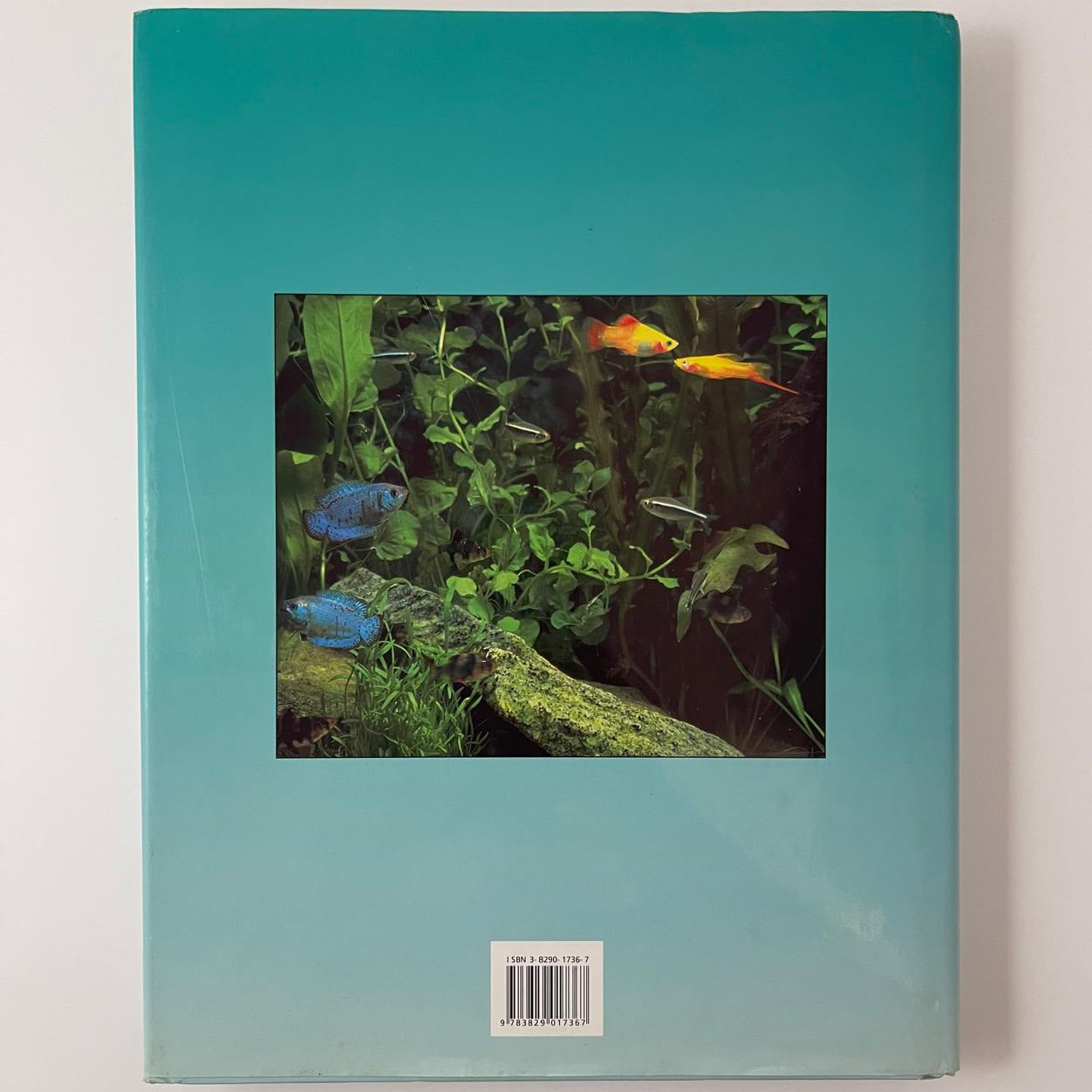 The Complete Aquarium Guide