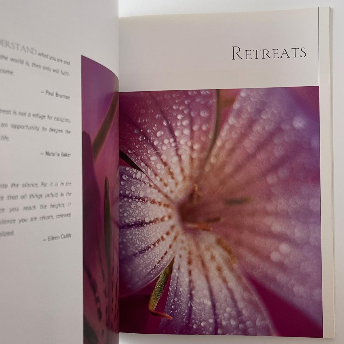 Meditation & Relaxation: De-Stress Body & Mind - Mariëlle Renssen