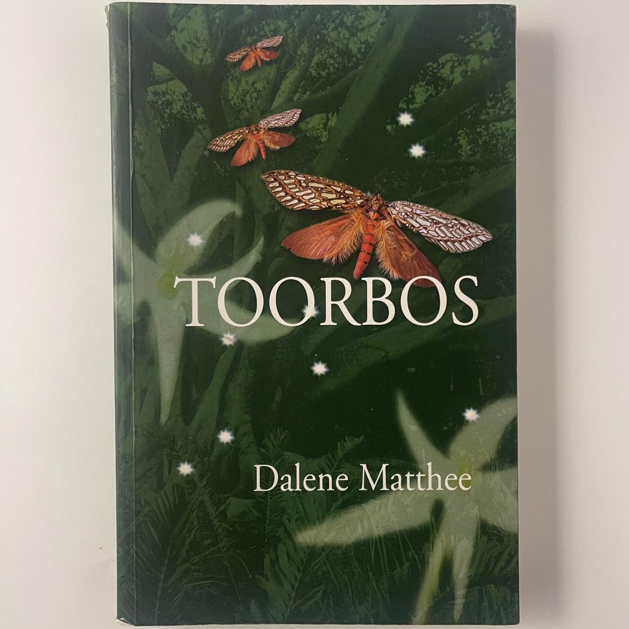 Toorbos - Dalene Matthee
