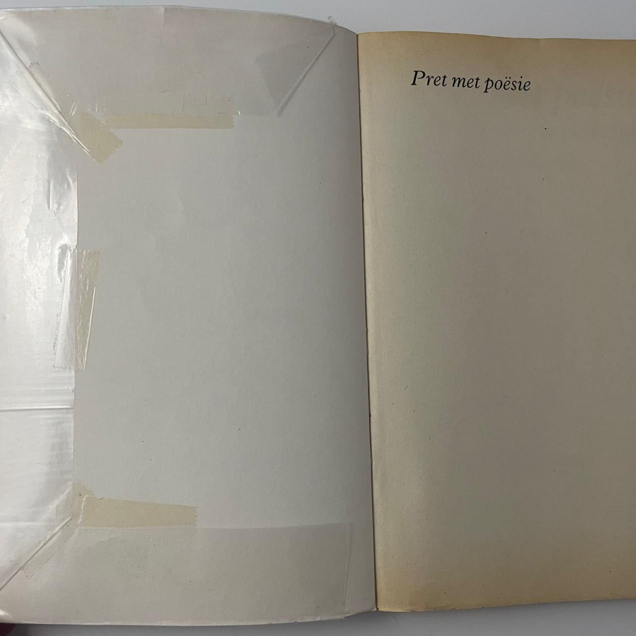 Pret met Poesie — Adinda L. Cillie