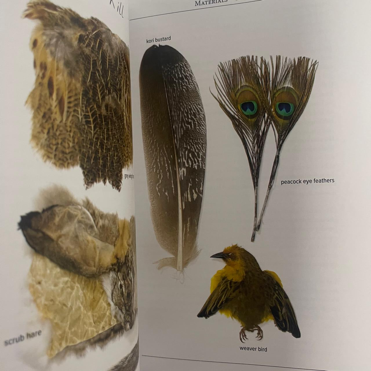 The Feather Mechanic: A fluy-tying philosophy - Gordon van der Spuy