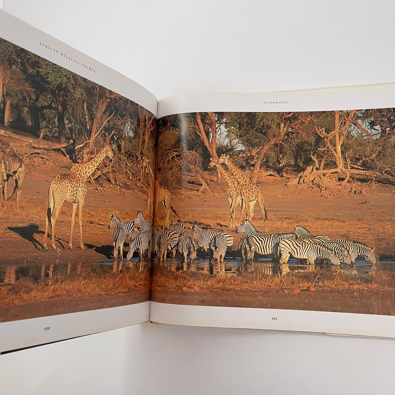 African Wildlife Themes – Richard du Toit
