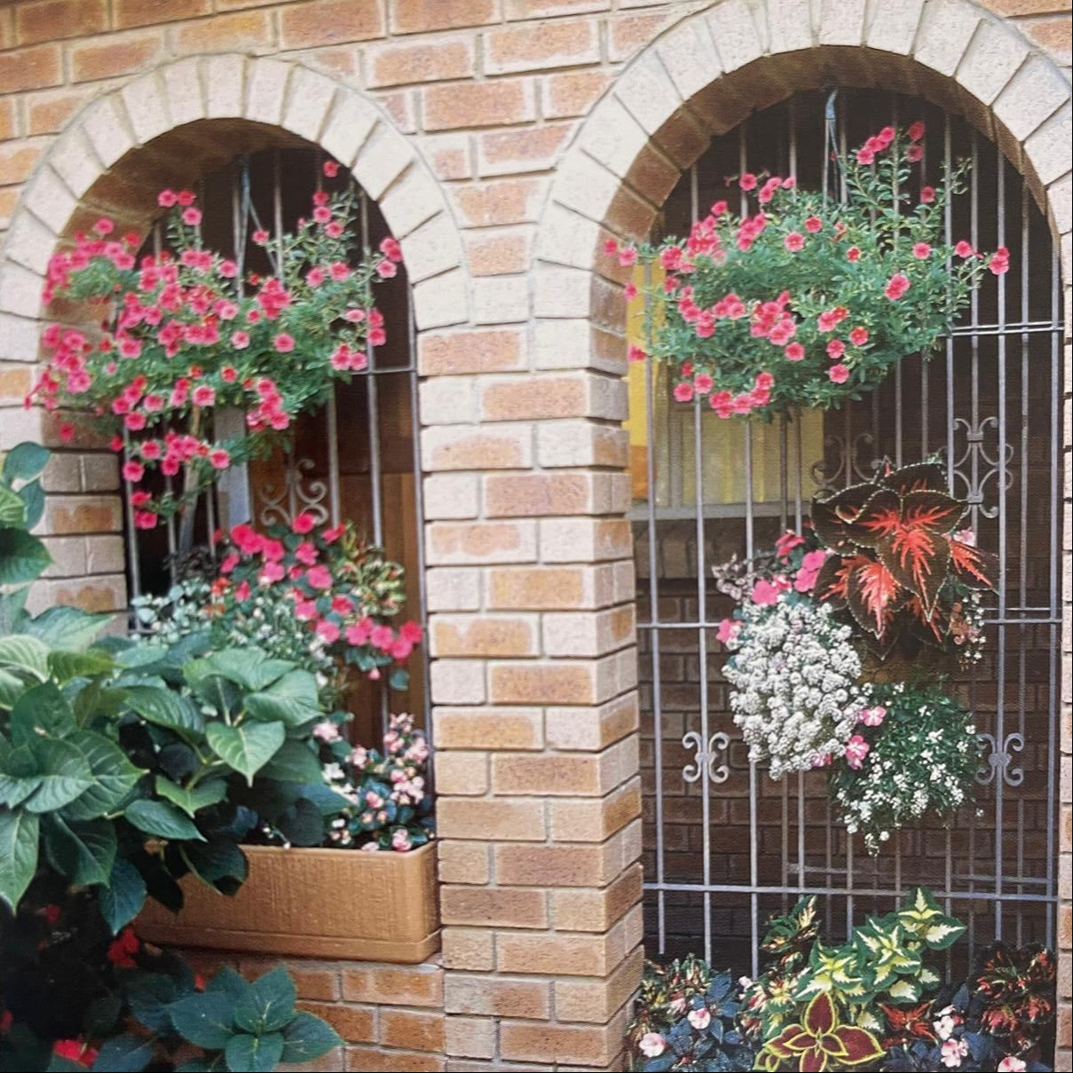 Wenke vir die Klein Tuin – Nancy Gardiner