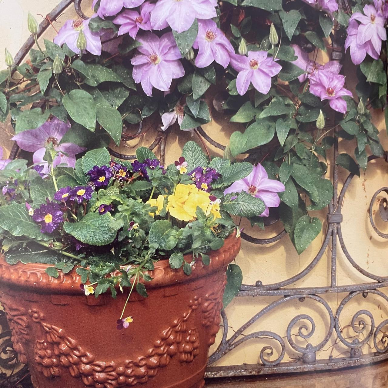 Wenke vir die Klein Tuin – Nancy Gardiner