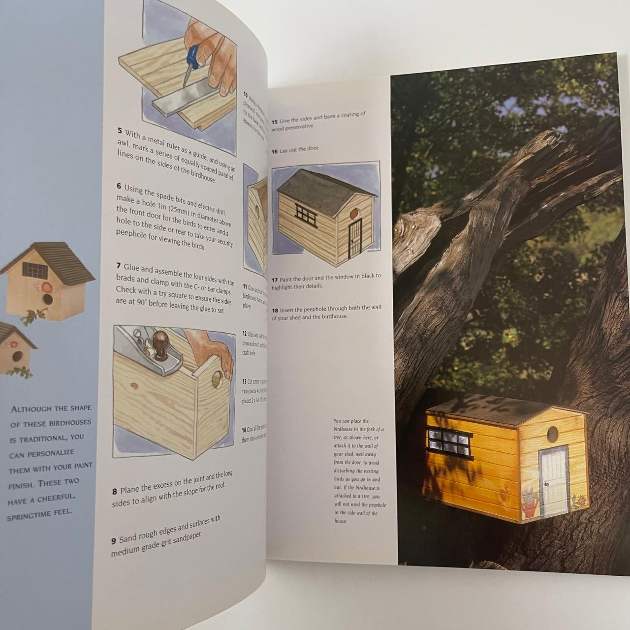 Birdhouses: 20 Unique Woodworking Projects for Houses and Feeders – Mark Ramuz & Frank Delicata