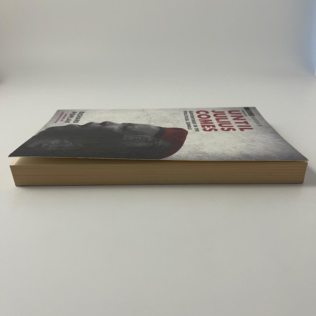 Until Julius Comes: Adventures in the New South Africa – Richard Poplak