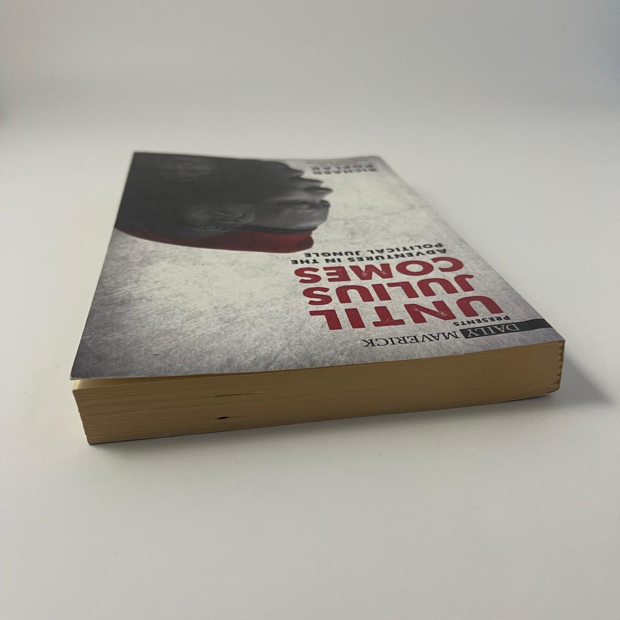Until Julius Comes: Adventures in the New South Africa – Richard Poplak