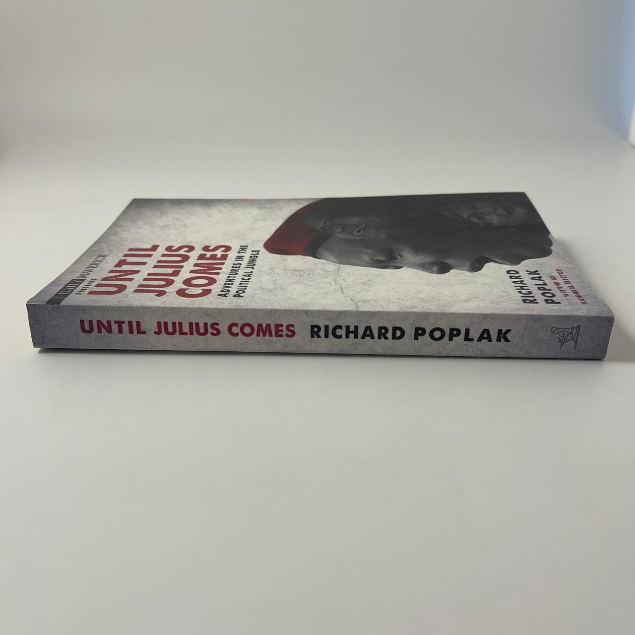 Until Julius Comes: Adventures in the New South Africa – Richard Poplak