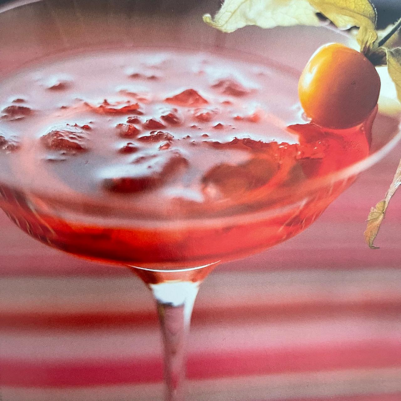 The Cocktail Bible – Parragon Books